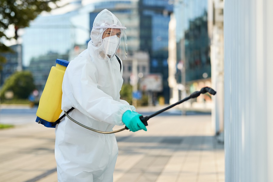 Hawx Pest Control Reviews: Professional Technicians in Action